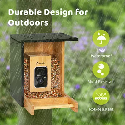 Product Birdfy Bamboo Smart Feeder with AI Identification