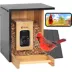 Birdfy Bamboo Smart Feeder Mini image thumbnail 1