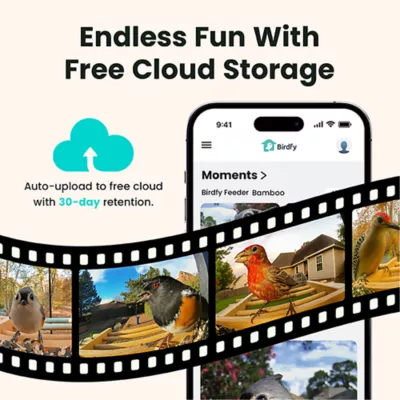 Product Birdfy Bamboo Smart Feeder with AI