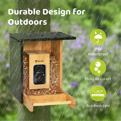 Product Birdfy Bamboo Smart Feeder with AI