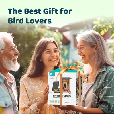 Product Birdfy Bamboo Smart Feeder with AI