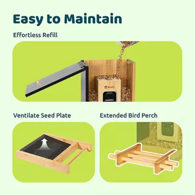 Product Birdfy Bamboo Smart Feeder with AI