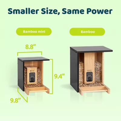 Product Birdfy Bamboo Smart Feeder with AI