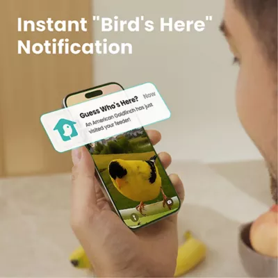 Product Birdfy Smart Metal Feeder