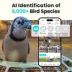Birdfy Smart Metal Feeder image thumbnail 4