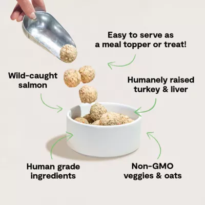 Open Farm Freshly Crafted Meatballs Adult Fresh Dog Food - Turkey - Image 3
