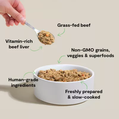 Open Farm Gently Cooked Adult Fresh Dog Food - Grain Free, Beef - Image 3
