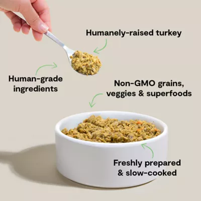 Open Farm Gently Cooked Adult Fresh Dog Food - Grain Free, Turkey - Image 3
