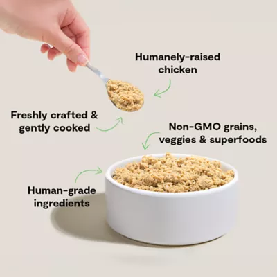 Open Farm Goodbowl Gently Cooked, High Protein Adult Fresh Dog Food - With Grain, Chicken - Image 3