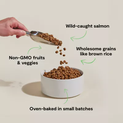 Open Farm Goodbowl Adult Dry Dog Food - Oven-Baked, Salmon & Brown Rice - Image 3