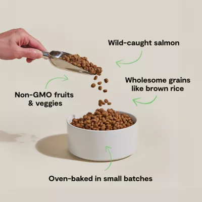 Open Farm Goodbowl Adult Dry Dog Food - Oven-Baked, Salmon & Brown Rice - Image 3