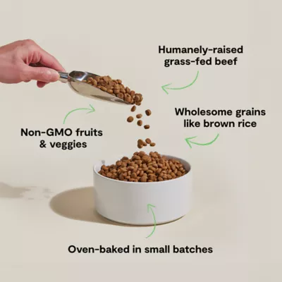 Open Farm Goodbowl Adult Dry Dog Food - Oven-Baked, Beef & Brown Rice - Image 3