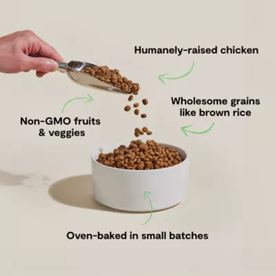 Open Farm Goodbowl Adult Dry Dog Food - Oven-Baked, Chicken & Brown Rice - Image 3
