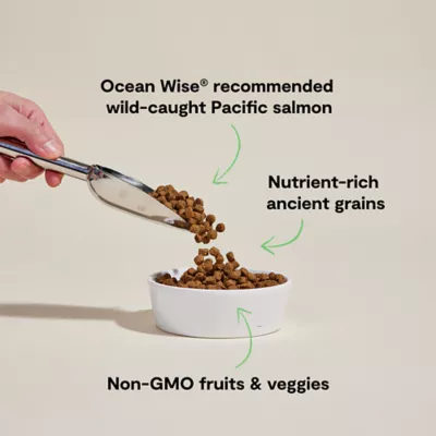 Open Farm With Grain Adult Dry Dog Food - Humanely Raised & Sustainably Sourced, Salmon - Image 3