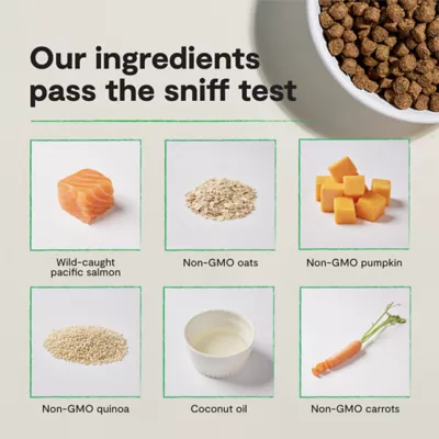 Open Farm With Grain Adult Dry Dog Food - Humanely Raised & Sustainably Sourced, Salmon - Image 5