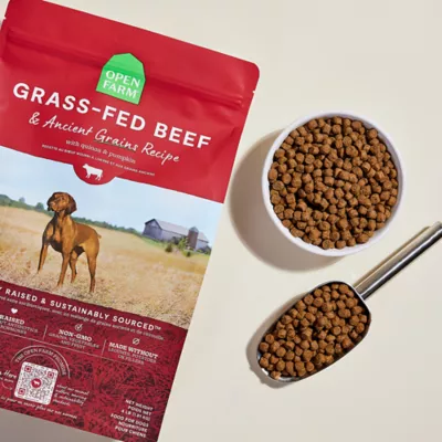 Open Farm With Grain Adult Dry Dog Food - Humanely Raised & Sustainably Sourced, Beef - Image 4