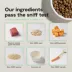 Open Farm With Grain Adult Dry Dog Food - Humanely Raised & Sustainably Sourced, Beef image thumbnail 5