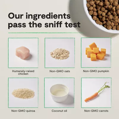 Open Farm With Grain Adult Dry Dog Food - Humanely Raised & Sustainably Sourced, Chicken - Image 6