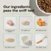 Open Farm With Grain Adult Dry Dog Food - Humanely Raised & Sustainably Sourced, Chicken image thumbnail 6