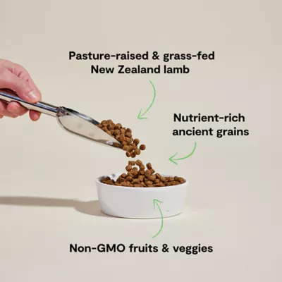 Open Farm With Grain Adult Dry Dog Food - Humanely Raised & Sustainably Sourced, Lamb - Image 3