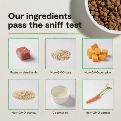 Open Farm With Grain Adult Dry Dog Food - Humanely Raised & Sustainably Sourced, Lamb - Image 6