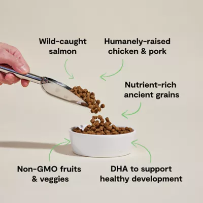 Open Farm With Grain Puppy Dry Dog Food - Humanely Raised & Sustainably Sourced, Chicken & Salmon - Image 3