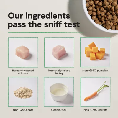 Open Farm With Grain Small Breed Adult Dry Dog Food - Humanely Raised & Sustainably Sourced, Chicken - Image 6