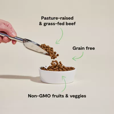 Open Farm Grain Free Adult Dry Dog Food - Humanely Raised & Sustainably Sourced, Beef - Image 3