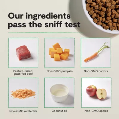 Open Farm Grain Free Adult Dry Dog Food - Humanely Raised & Sustainably Sourced, Beef - Image 6