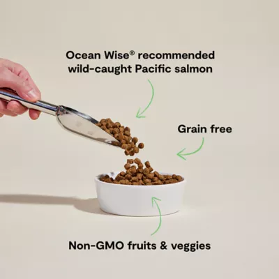 Open Farm Grain Free Adult Dry Dog Food - Humanely Raised & Sustainably Sourced, Salmon - Image 3