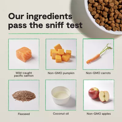 Open Farm Grain Free Adult Dry Dog Food - Humanely Raised & Sustainably Sourced, Salmon - Image 6