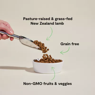 Open Farm Grain Free Adult Dry Dog Food - Humanely Raised & Sustainably Sourced, Lamb - Image 3
