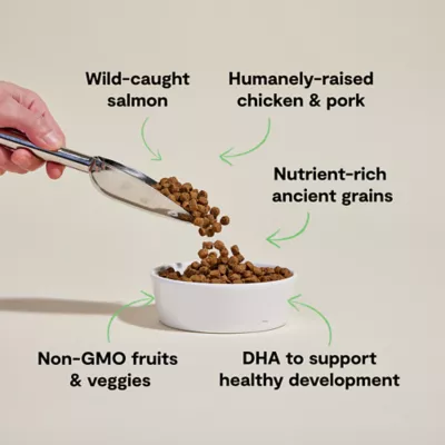 Open Farm Grain Free Puppy Dry Dog Food - Humanely Raised & Sustainably Sourced, Chicken & Salmon - Image 3