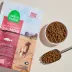 Open Farm Grain Free Adult Dry Dog Food - Humanely Raised & Sustainably Sourced, Salmon image thumbnail 4