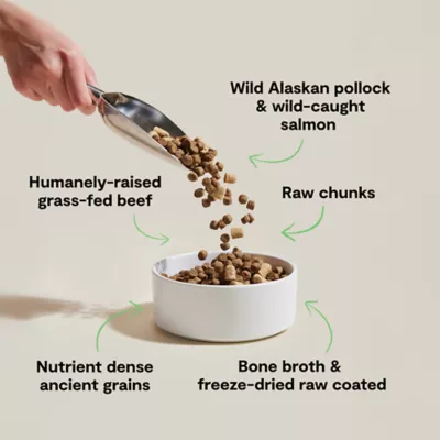 Open Farm RawMix With Grain Adult Dry Dog Food - Tide Terrain - Image 3