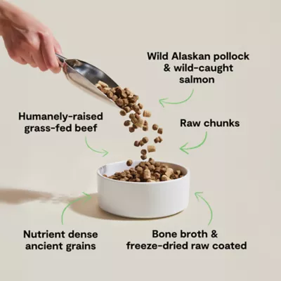 Open Farm RawMix With Grain Adult Dry Dog Food - Tide Terrain - Image 3