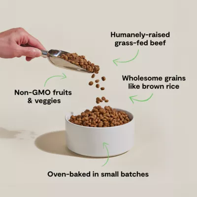 Open Farm RawMix Grain Free Adult Dry Dog Food - Tide Terrain - Image 3