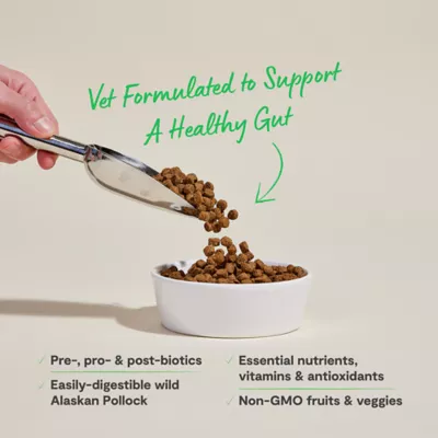 Open Farm Digestive Health Adult Dry Dog Food - Humanely Raised & Sustainably Sourced, Pollock - Image 3