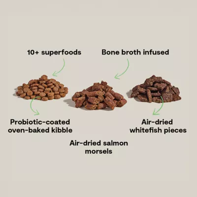 Open Farm Epic Blend High Protein Adult Dry Dog Food - Salmon & Superfood - Image 3