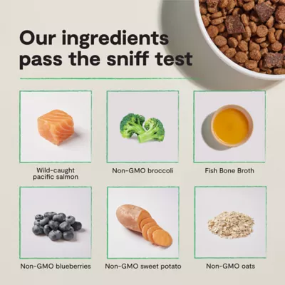 Open Farm Epic Blend High Protein Adult Dry Dog Food - Salmon & Superfood - Image 6