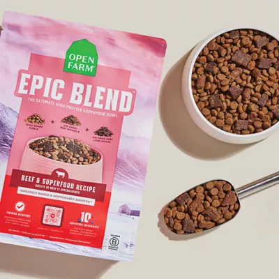 Open Farm Epic Blend High Protein Adult Dry Dog Food - Beef & Superfood - Image 4
