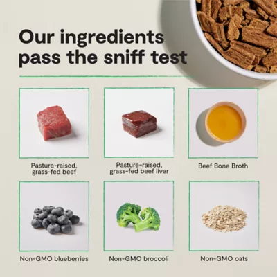 Open Farm Epic Blend High Protein Adult Dry Dog Food - Beef & Superfood - Image 6