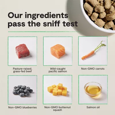 Open Farm Freeze Dried Adult Dry Dog Food - Raw Morsels, Surf & Turf - Image 5
