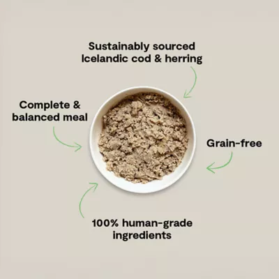 Open Farm Adult Wet Dog Food - Silky Mousse, 12.5 oz - Image 3