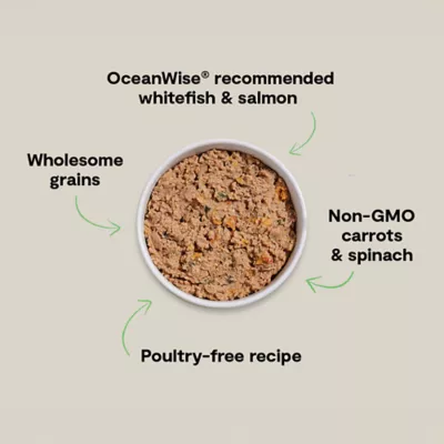 Open Farm Goodbowl Adult Wet Dog Food - Pate, 12.5 oz - Image 3