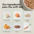 Open Farm Goodbowl Adult Wet Dog Food - Pate, 12.5 oz image thumbnail 6