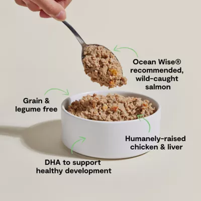 Open Farm Puppy Wet Dog Food - Humanely Raised & Sustainably Sourced, Pate, 12.5 oz - Image 3
