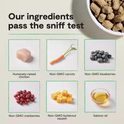 Open Farm Freeze Dried Adult Dry Dog Food - Raw Morsels, Chicken - Image 5