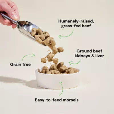 Open Farm Freeze Dried Adult Dry Dog Food - Raw Morsels, Beef - Image 3