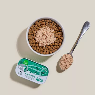 Open Farm Adult Wet Dog Food Topper - Silky Mousse, 4.59 oz - Image 4